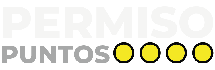 Permiso Puntos